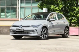 
										Volkswagen Golf 300TSI full									