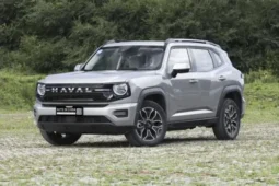 
										GWM Haval Big Dog full									